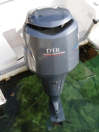 DIR for strokes...surely not!