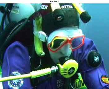 Banana complete with monkey