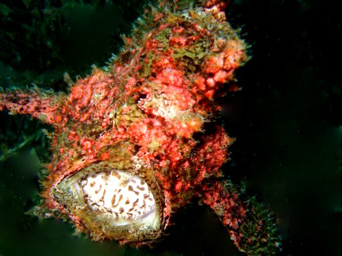 Leave me alone...I was sleepin!