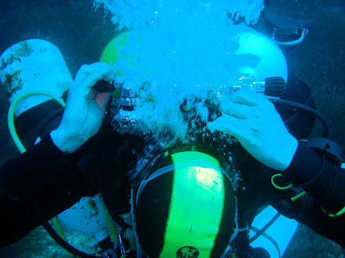 damn...these regs were DIR last week!