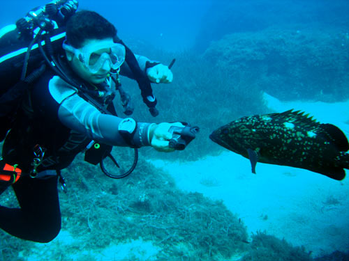 Sanna buddy breaths with fish at 80metres!